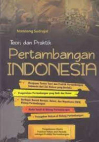 Image of TEORI DAN PRAKTEK PERTAMBANGAN INDONESIA