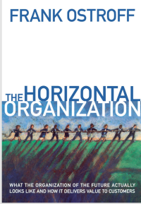 Image of the Horizontal Organization